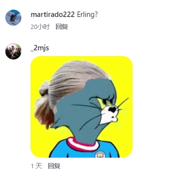 哈兰德亲自盖章:网友神似自己,INS评论“我同意” 哈兰德亲自盖章:网友神似自己,INS评论“我同意”