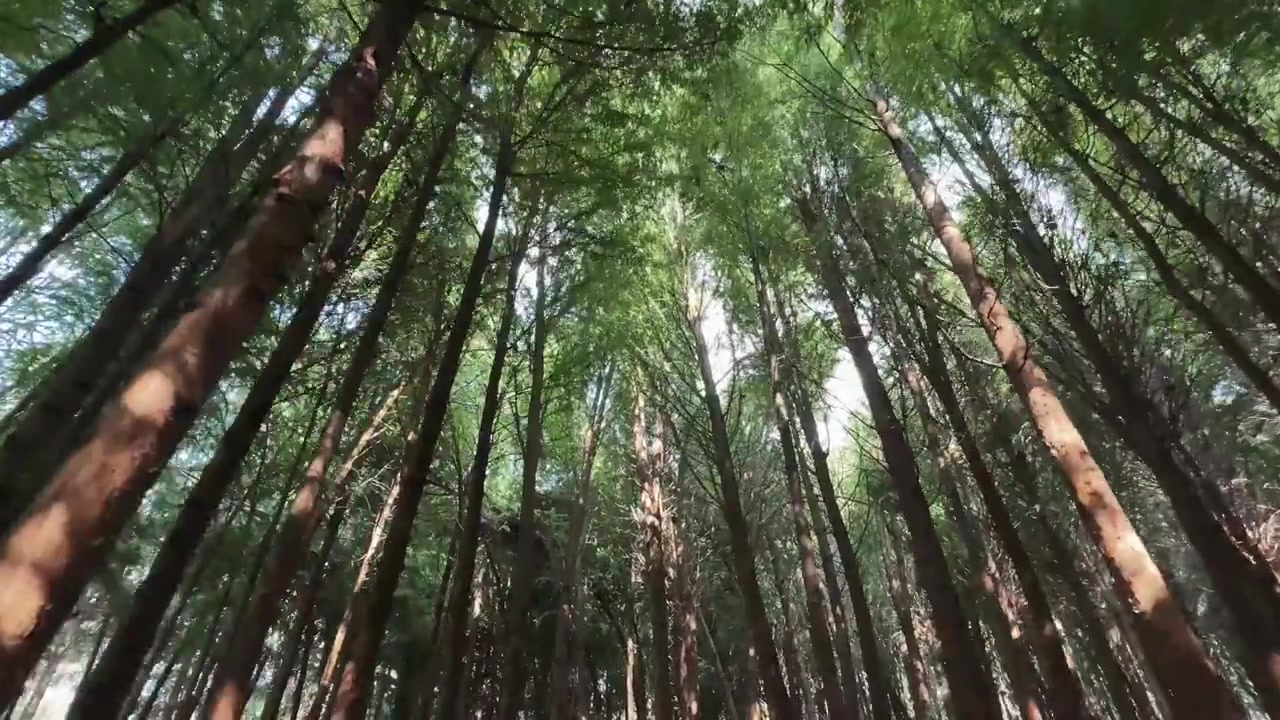 深圳新鹏城客场3-4遭云南玉昆逆转 三次落后三次追平最后时刻崩盘